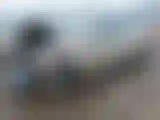 Vehicle Image- 2024 Chevrolet Malibu