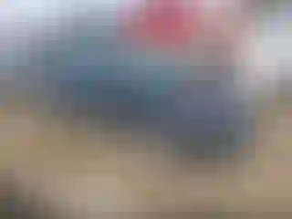 Vehicle Image- 2022 Chevrolet Malibu