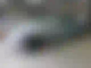 Vehicle Image- 2009 Chevrolet Malibu