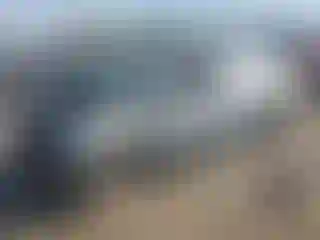 Vehicle Image- 2008 Chevrolet Malibu