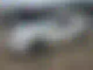 Vehicle Image- 2008 Chevrolet Malibu