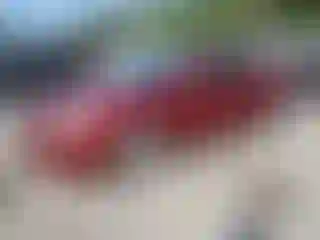 Vehicle Image- 2008 Chevrolet Malibu
