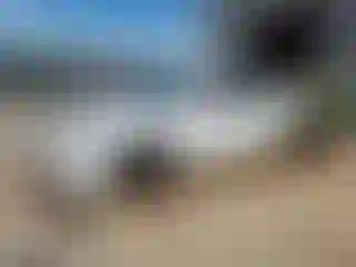 Vehicle Image- 2009 Chevrolet Malibu