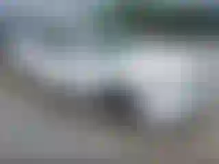Vehicle Image- 2009 Chevrolet Malibu