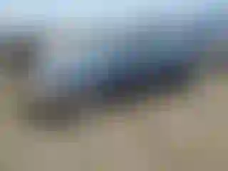 Vehicle Image- 2009 Chevrolet Malibu