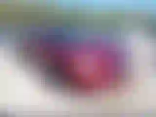 Vehicle Image- 2009 Chevrolet Malibu