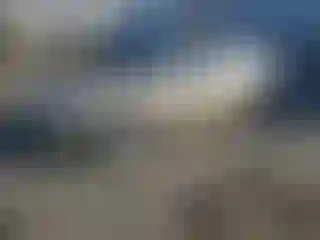 Vehicle Image- 2008 Chevrolet Malibu