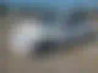 Vehicle Image- 2009 Chevrolet Malibu