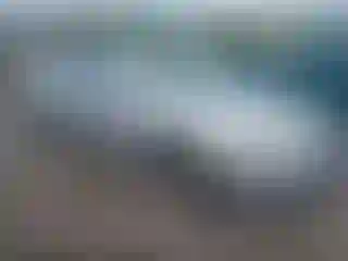 Vehicle Image- 2008 Chevrolet Malibu