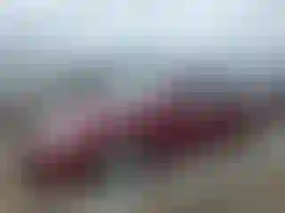 Vehicle Image- 2008 Chevrolet Malibu