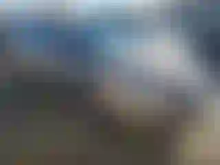 Vehicle Image- 2008 Chevrolet Malibu