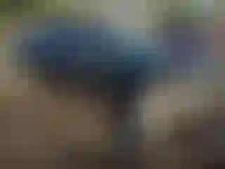 Vehicle Image- 2009 Chevrolet Malibu