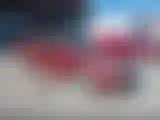 Vehicle Image- 2008 Chevrolet Malibu