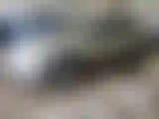 Vehicle Image- 2006 Chevrolet Malibu