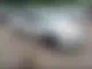 Vehicle Image- 2004 Chevrolet Malibu