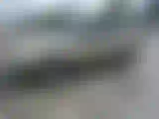 Vehicle Image- 2004 Chevrolet Malibu