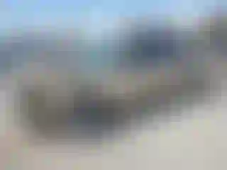 Vehicle Image- 2005 Chevrolet Malibu
