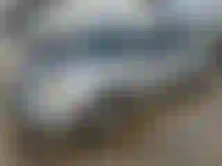 Vehicle Image- 2004 Chevrolet Malibu