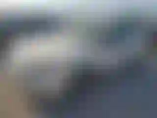 Vehicle Image- 2005 Chevrolet Malibu