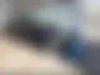 Vehicle Image- 2005 Chevrolet Malibu