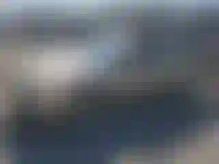 Vehicle Image- 2004 Chevrolet Malibu