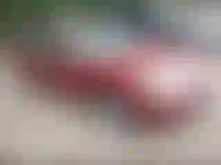Vehicle Image- 2007 Chevrolet Malibu