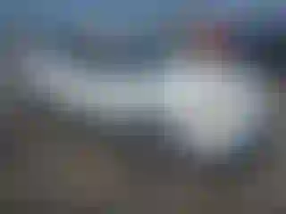 Vehicle Image- 2007 Chevrolet Malibu