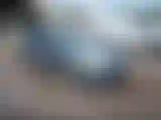 Vehicle Image- 2007 Chevrolet Malibu