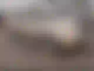 Vehicle Image- 2006 Chevrolet Malibu