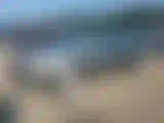 Vehicle Image- 2006 Chevrolet Malibu