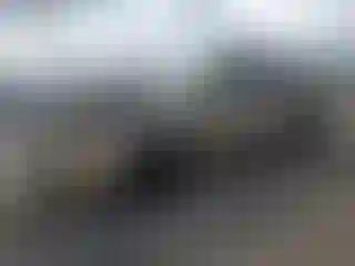 Vehicle Image- 2006 Chevrolet Malibu