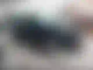 Vehicle Image- 2006 Chevrolet Malibu
