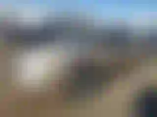 Vehicle Image- 2004 Chevrolet Malibu