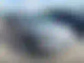 Vehicle Image- 2004 Chevrolet Malibu