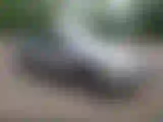Vehicle Image- 2005 Chevrolet Malibu