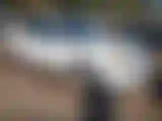 Vehicle Image- 2005 Chevrolet Malibu