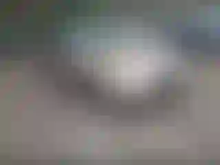 Vehicle Image- 2004 Chevrolet Malibu