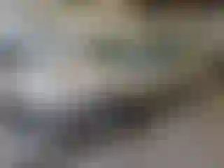 Vehicle Image- 2004 Chevrolet Malibu