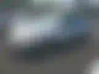 Vehicle Image- 2004 Chevrolet Malibu