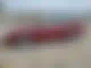 Vehicle Image- 2004 Chevrolet Malibu