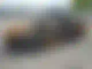 Vehicle Image- 2005 Chevrolet Malibu
