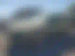 Vehicle Image- 2005 Chevrolet Malibu