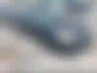 Vehicle Image- 2006 Chevrolet Malibu