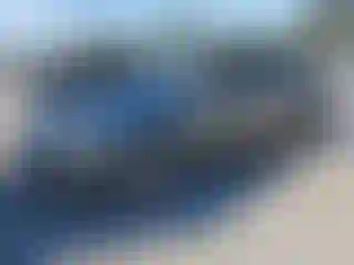 Vehicle Image- 2004 Chevrolet Malibu