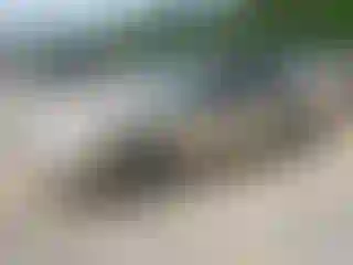 Vehicle Image- 2005 Chevrolet Malibu