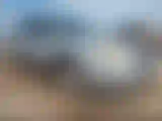Vehicle Image- 2004 Chevrolet Malibu