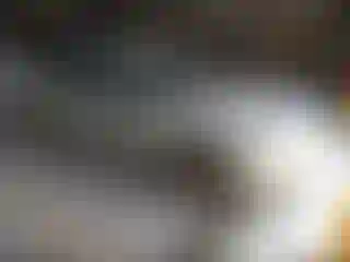 Vehicle Image- 2005 Chevrolet Malibu