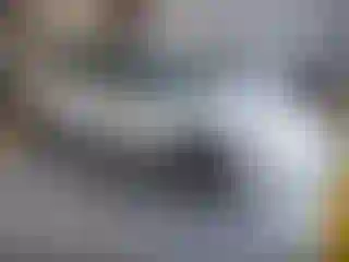 Vehicle Image- 2004 Chevrolet Malibu