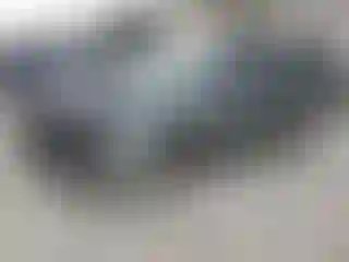 Vehicle Image- 2006 Chevrolet Malibu
