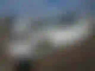 Vehicle Image- 2004 Chevrolet Malibu